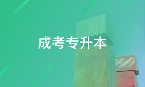 東莞圣賢教育與淘學(xué)培訓(xùn)深度解析 選擇教育咨詢服務(wù)需謹(jǐn)慎